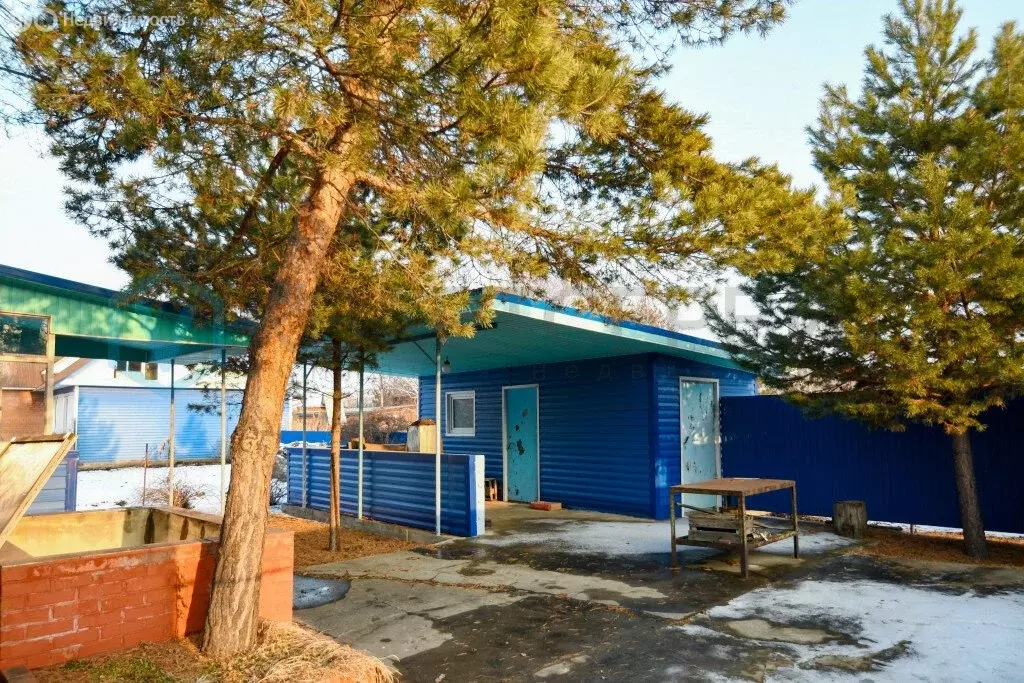 Дом в Омск, территория СОСН Тепличный-2 (58.6 м) - Фото 1