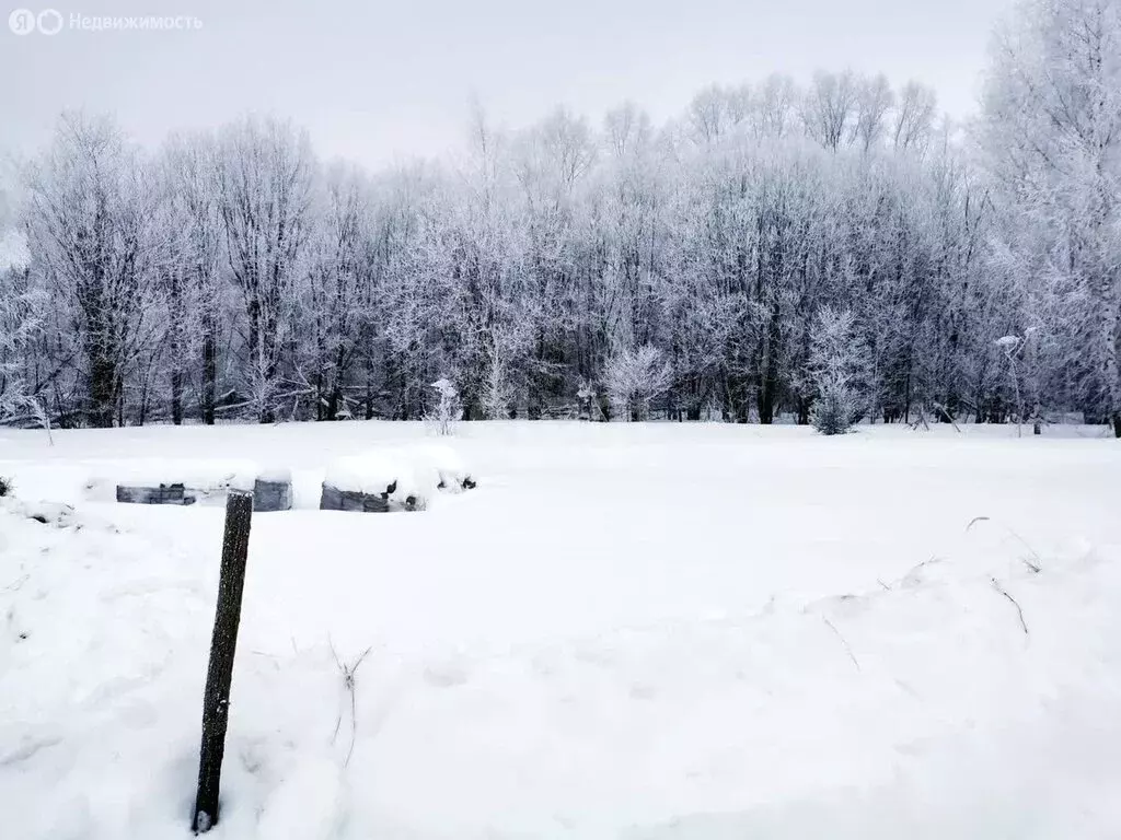 Участок в село Ковардицы, 4-я Садовая улица (16 м) - Фото 1