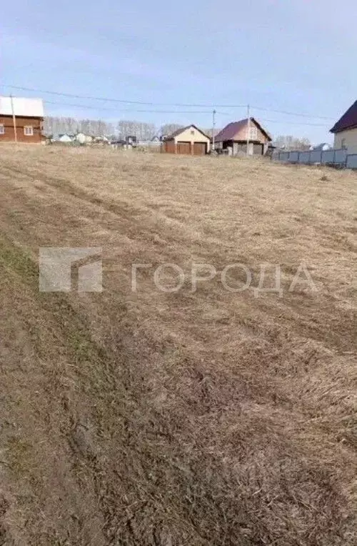 Участок в Алтайский край, Барнаул городской округ, пос. Центральный ... - Фото 2