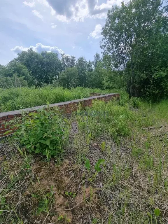 Участок в Нижегородская область, Кстовский муниципальный округ, д. ... - Фото 1