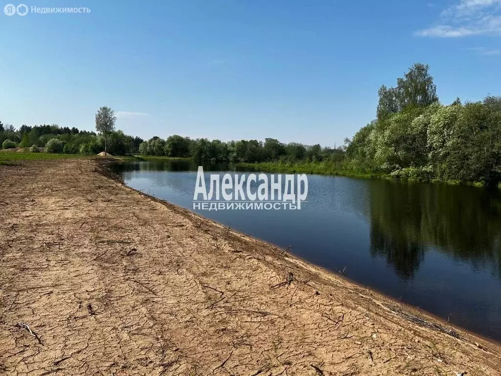 Участок в Доможировское сельское поселение (12 м) - Фото 0