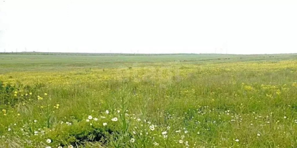 Участок в Крым, Ленинский район, с. Чистополье  (6.0 сот.) - Фото 1