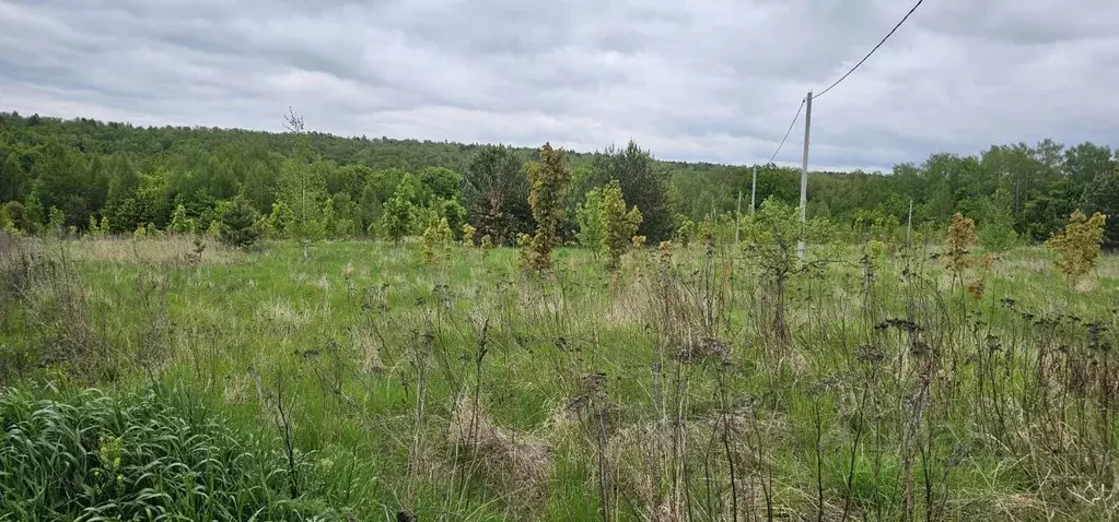Участок в Московская область, Луховицы муниципальный округ, д. Берхино ... - Фото 0
