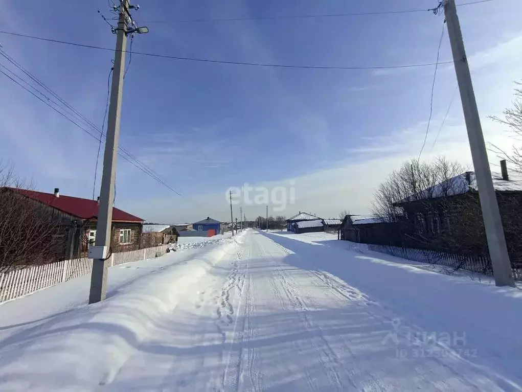 Дом в Свердловская область, Слободо-Туринский район, Усть-Ницинское ... - Фото 0