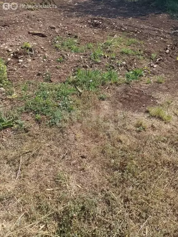 Участок в Оренбургский район, Сергиевский сельсовет, село Приютово, ... - Фото 0