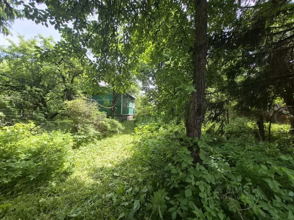 Участок в Московская область, Наро-Фоминский городской округ, СНТ ... - Фото 2