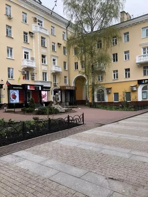 Торговая площадь в Пензенская область, Пенза Московская ул., 86 (55 м) - Фото 2