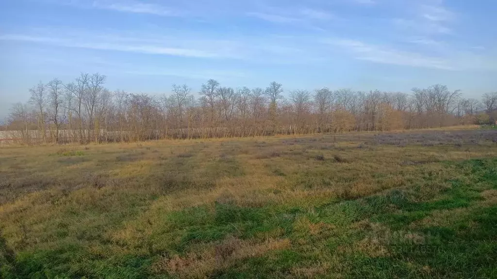 Участок в Краснодарский край, Анапа муниципальный округ, с. Джигинка ... - Фото 2