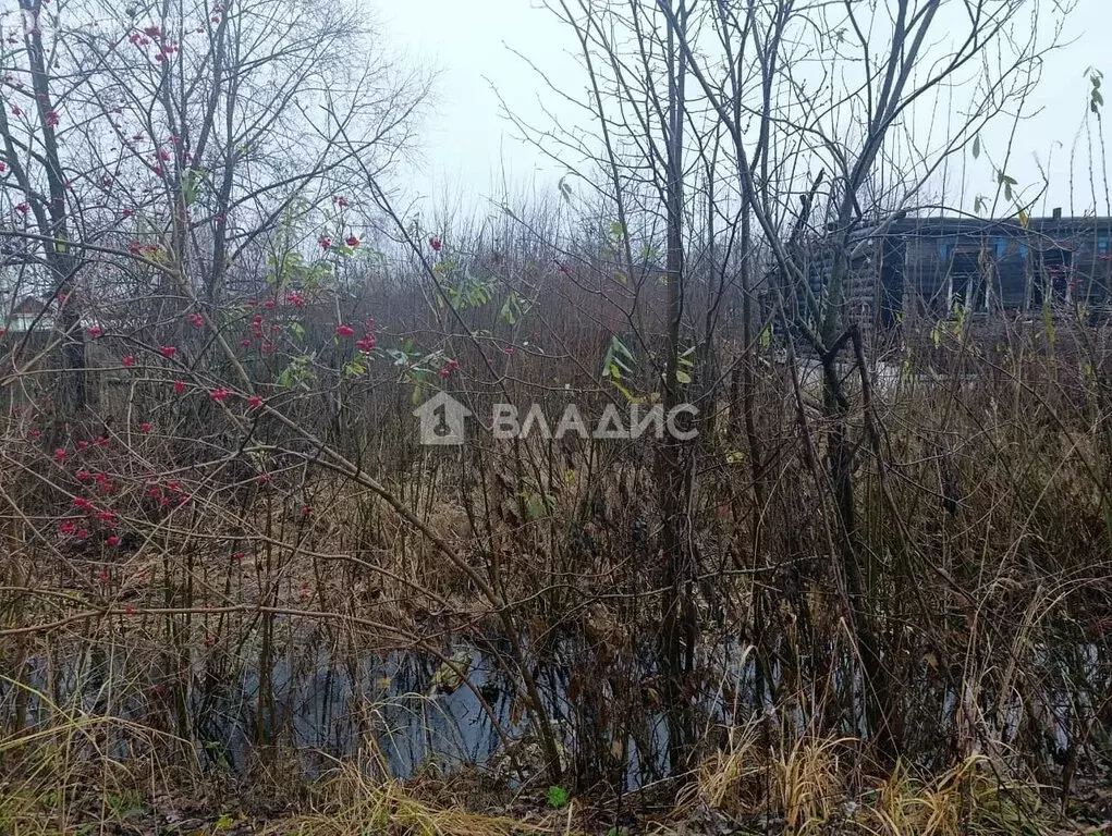 Участок в Собинка, улица Гоголя, 26 (6 м) - Фото 2