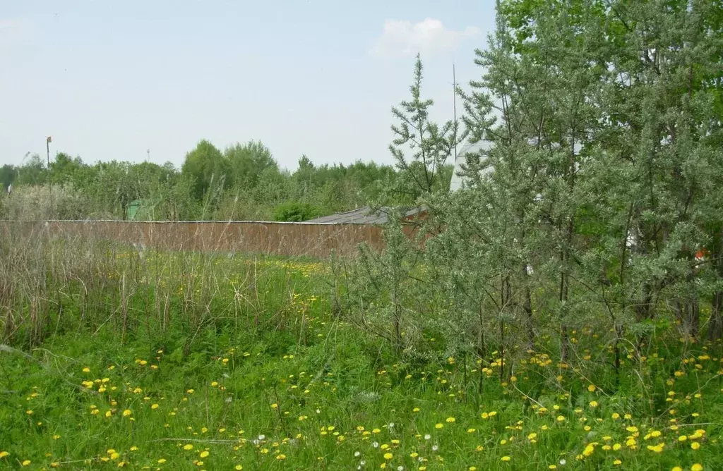 Участок в Калужская область, Малоярославецкий муниципальный округ, ... - Фото 2