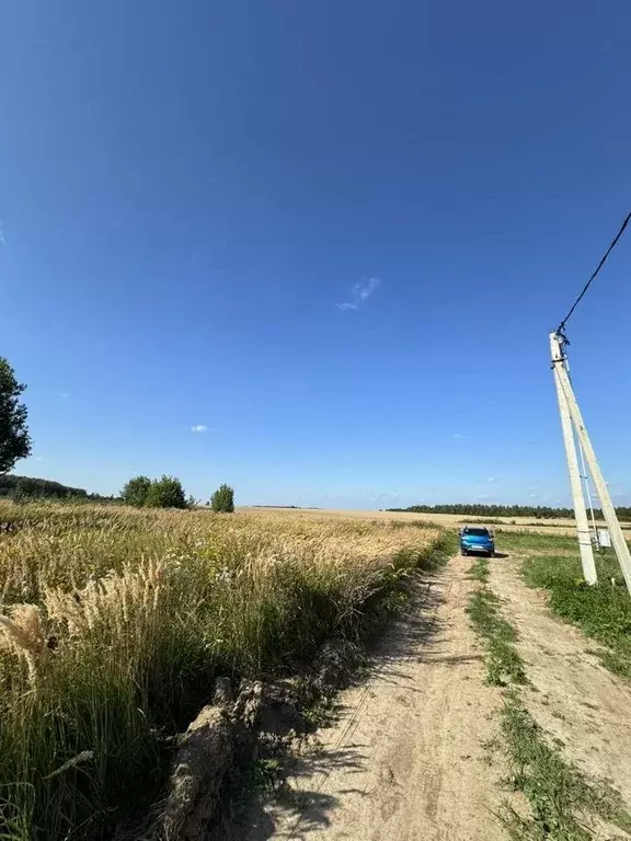 Участок в Московская область, Коломна городской округ, пос. Проводник  ... - Фото 1