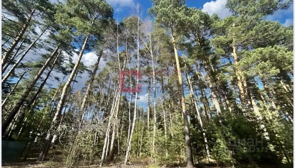 Участок, 29 сот., поселения (ижс) - Фото 1