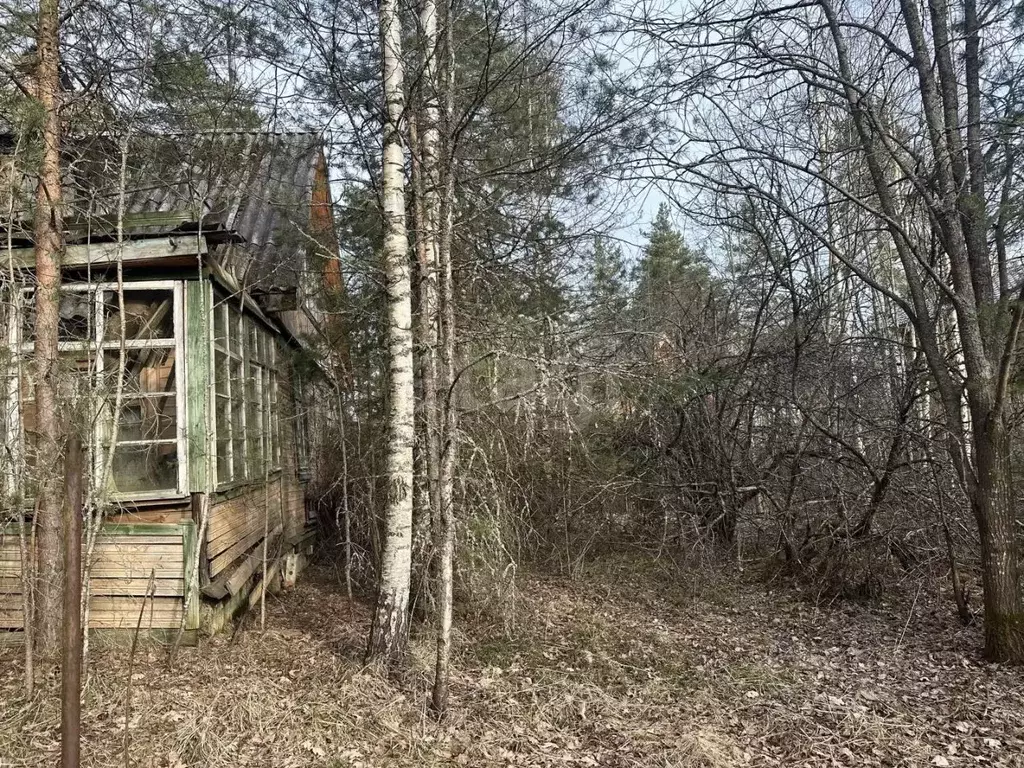 Участок в Ленинградская область, Приозерский район, Сосновское с/пос, ... - Фото 1