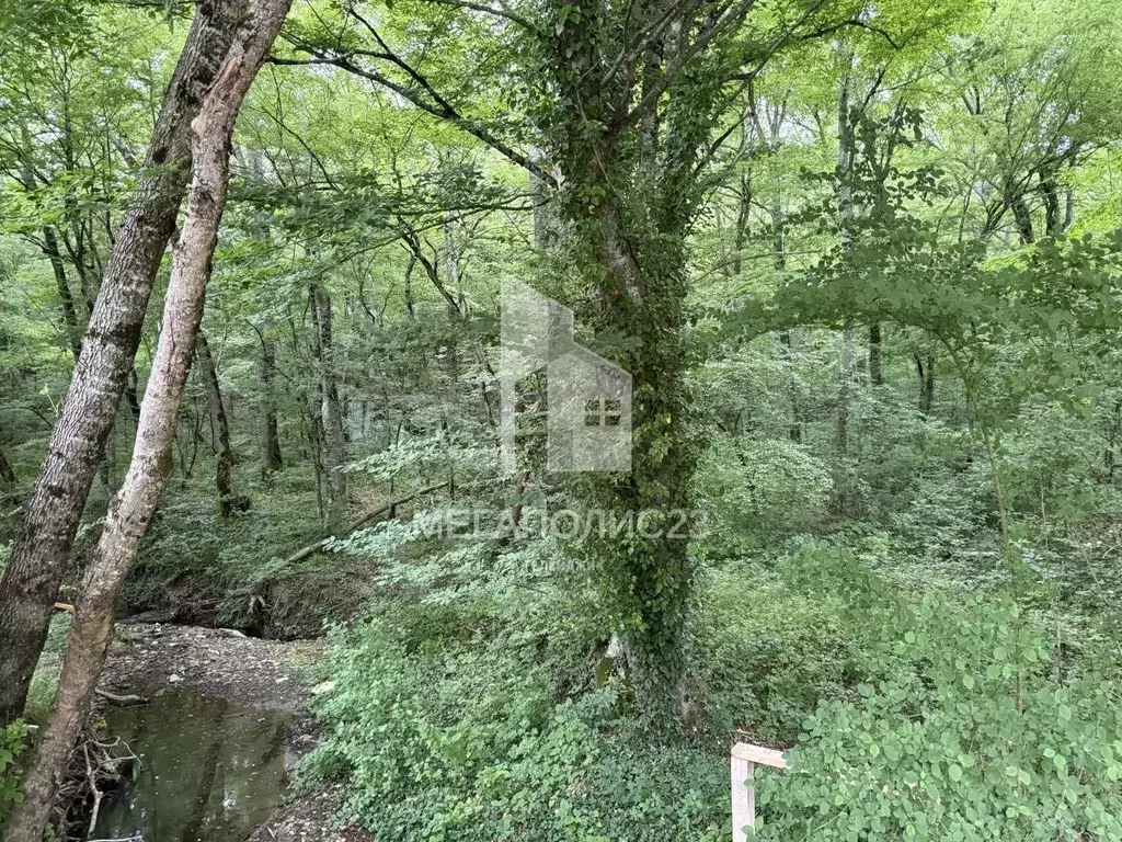 Участок в Краснодарский край, Геленджик городской округ, Широкая Щель ... - Фото 2