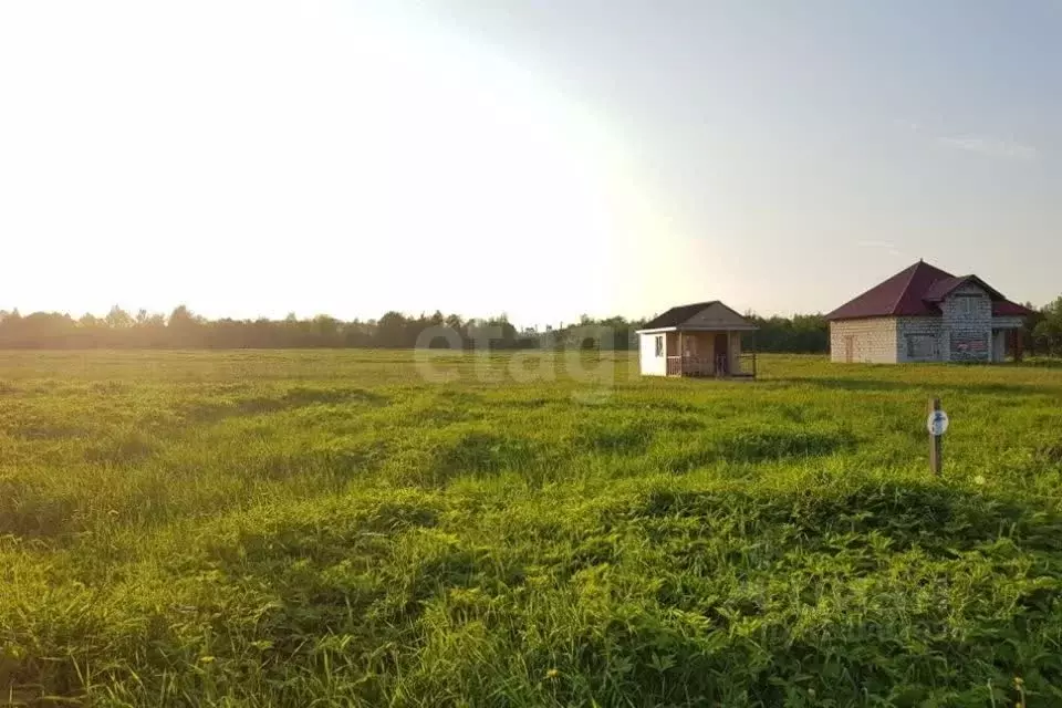 Участок в Ленинградская область, Ломоносовский район, Виллозское ... - Фото 1