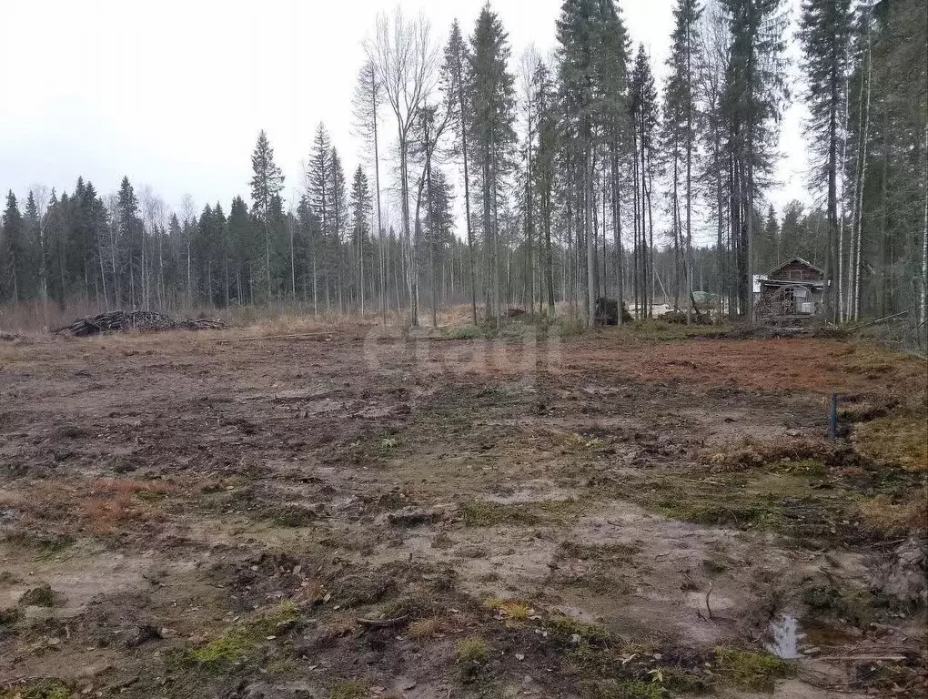 Участок в Сыктывкар, Сиреневая улица (7 м) - Фото 1