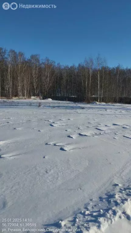 Участок в посёлок городского типа Белоярский, улица Чапаева, 137 (15 ... - Фото 1