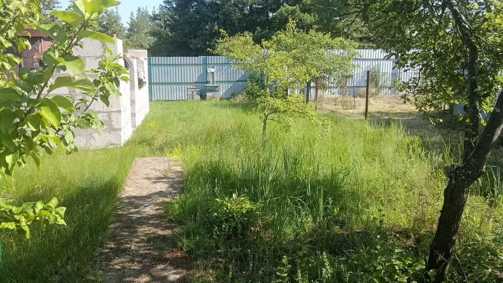 Дача 24 м на участке 12 сот. - Фото 1