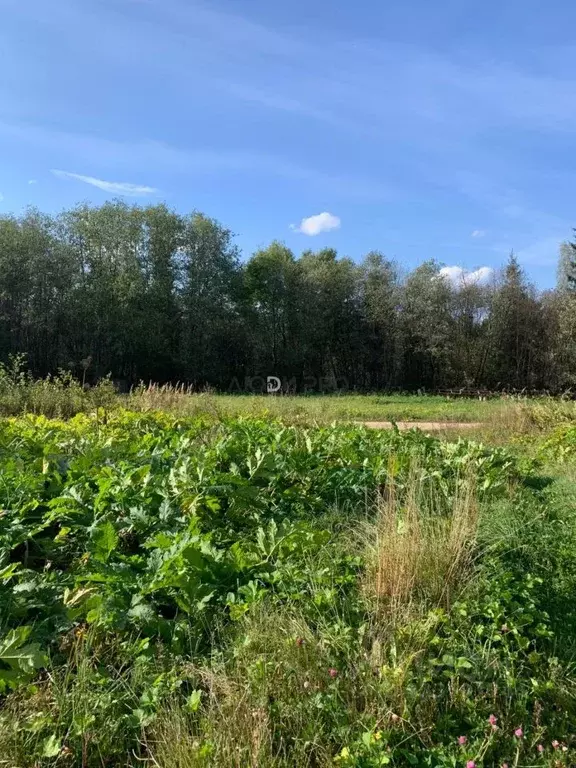 Участок в Тверская область, Старицкий муниципальный округ, д. Заречье  ... - Фото 1