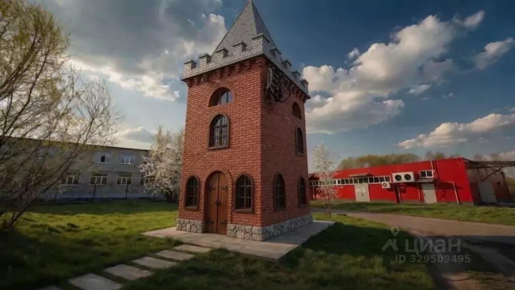 Торговая площадь в Владимирская область, Собинка Центральная ул., 27 ... - Фото 1