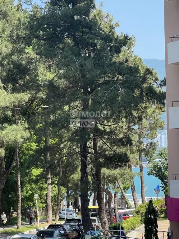 Студия Краснодарский край, Геленджик Крымская ул., 3к3 (42.4 м) - Фото 2