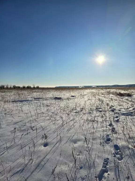 Участок в Саха (Якутия), Якутск городской округ, с. Хатассы  (10.0 ... - Фото 2