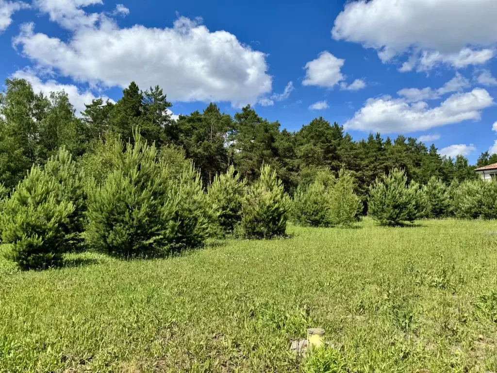 Участок в Московская область, Пушкино Чистые Пруды-3 кп, ул. ... - Фото 2