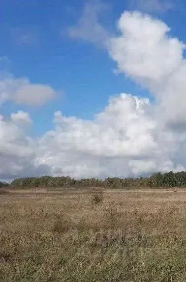 Участок в Калининградская область, Зеленоградский муниципальный округ, ... - Фото 2