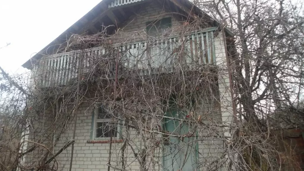 Дом в Белгородская область, Яковлевский муниципальный округ, село ... - Фото 1