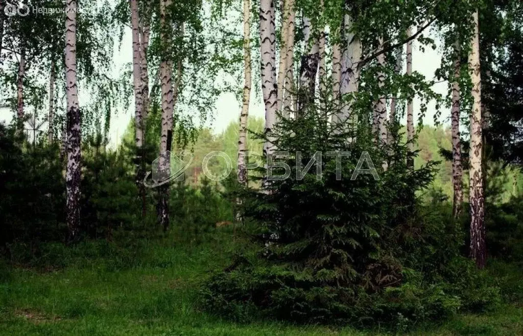 Участок в Тюмень, территория СОСН Лесная Поляна (7 м) - Фото 1