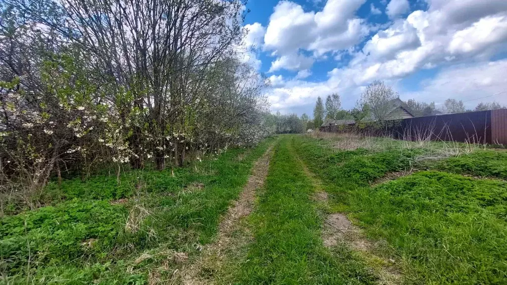 Участок в Владимирская область, Александровский район, Каринское ... - Фото 1