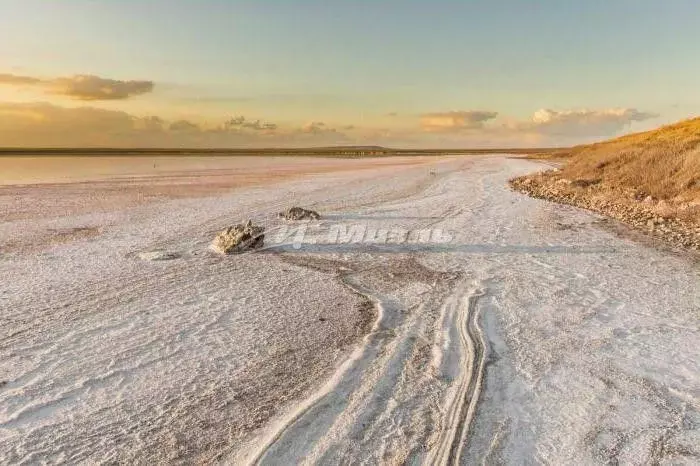 Участок в Крым, Сакский район, с. Лесновка  (50.0 сот.) - Фото 2