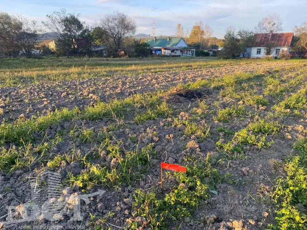 Участок в Приморский край, Артемовский городской округ, с. Кролевцы ... - Фото 0