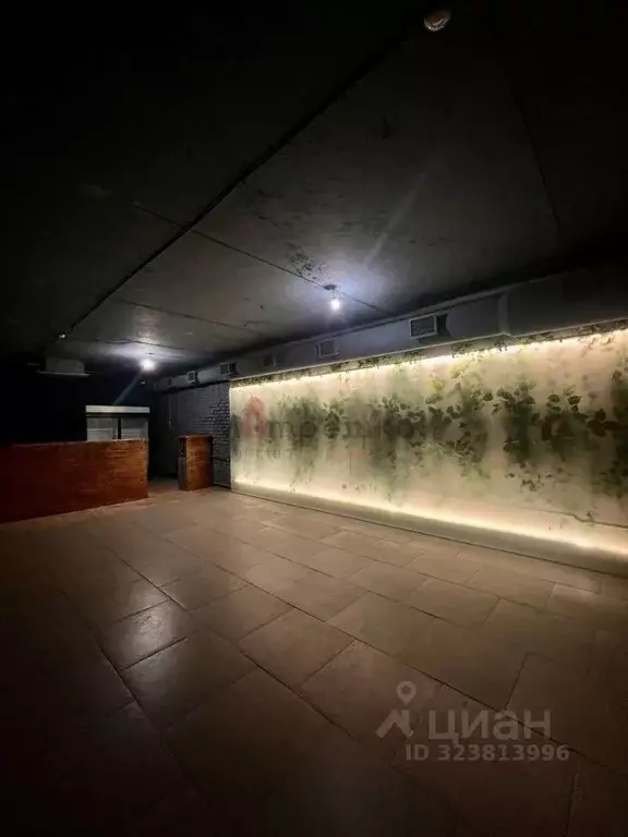 Торговая площадь в Белгородская область, Белгород ул. Щорса, 52 (560 ... - Фото 2