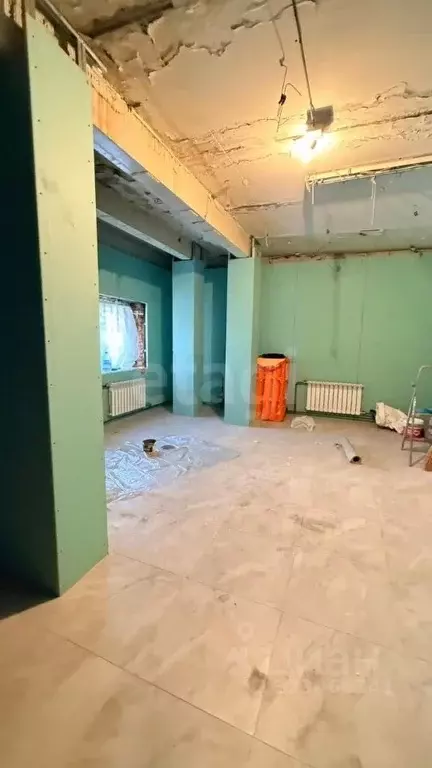 Помещение свободного назначения в Новосибирская область, Новосибирск ... - Фото 1