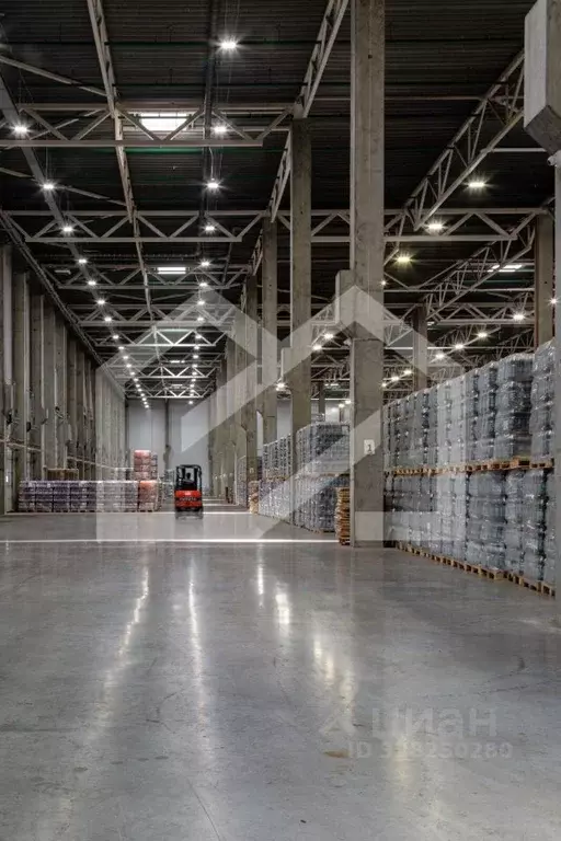 Производственное помещение в Московская область, Богородский городской ... - Фото 1