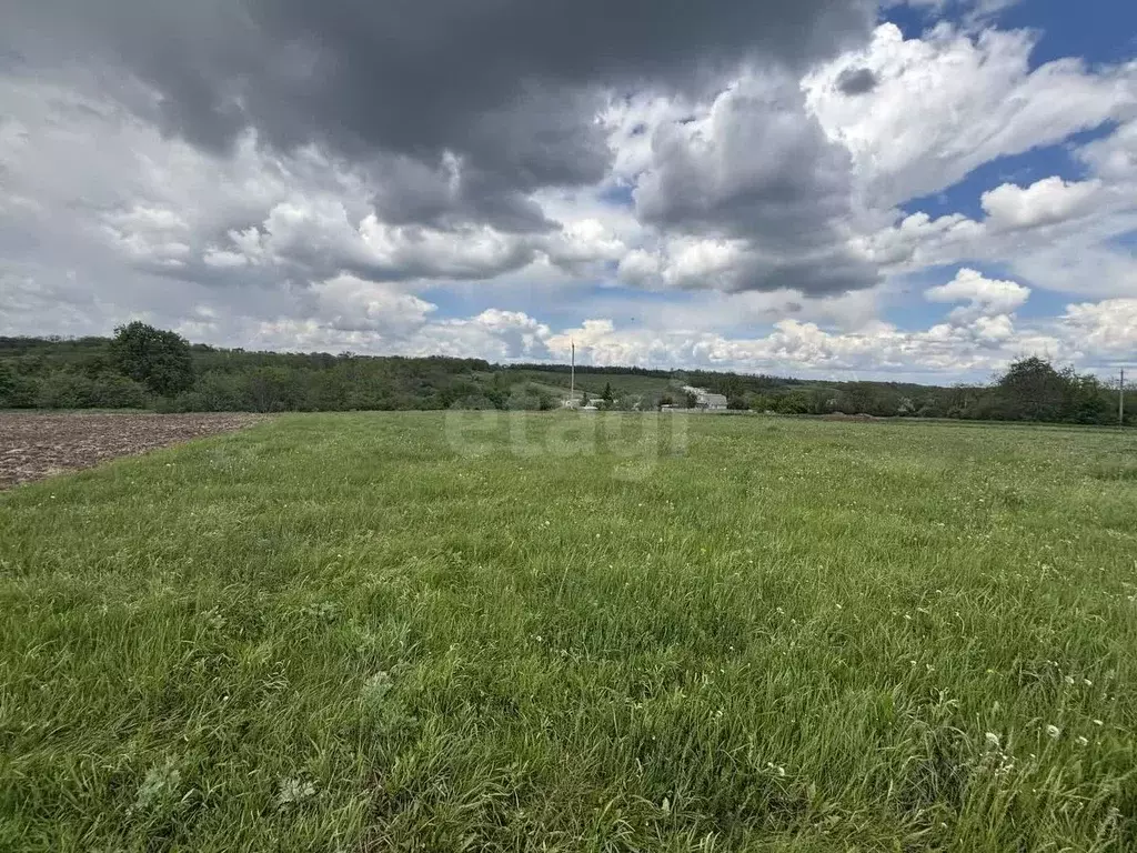 Участок в Белгородская область, Белгородский район, Крутологское ... - Фото 1