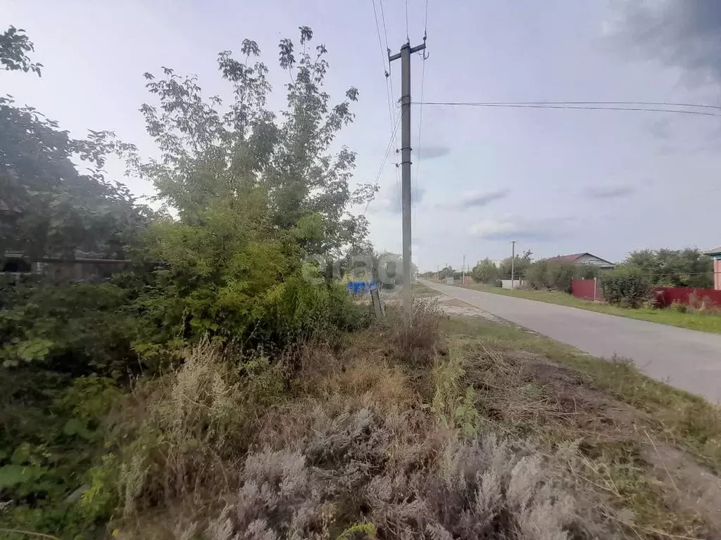 Участок в Саратовская область, Балашовский район, Пинеровка рп Новая ... - Фото 1