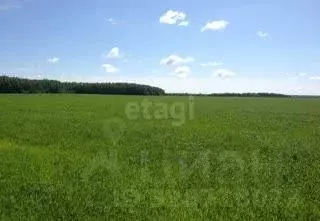 Участок в Ярославская область, Ярославль Автозаводская ул., 105 (28.14 ... - Фото 2