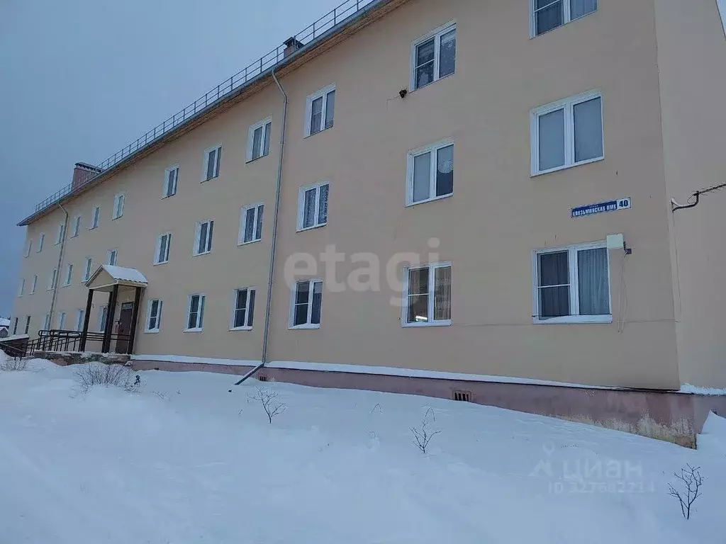 1-к кв. Владимирская область, Ковровский муниципальный округ, с. ... - Фото 1