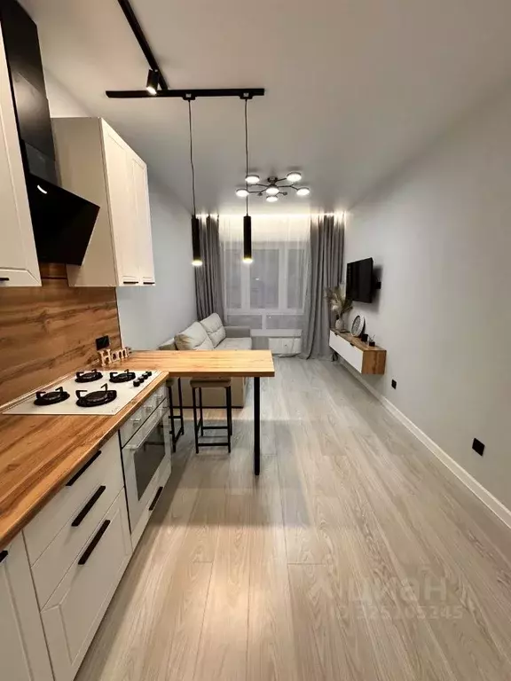 1-к кв. Псковская область, Псковский район, Завеличенская волость, д. ... - Фото 1