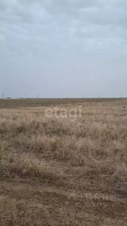 Участок в Крым, Сакский район, Молочненское с/пос, с. Витино ул. ... - Фото 0