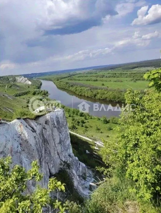 Дом в Воронежская область, Лискинский район, Старохворостанское с/пос, ... - Фото 1