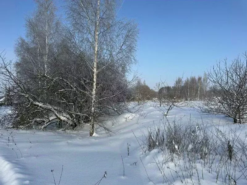 Участок в Московская область, Серебряные Пруды муниципальный округ, с. ... - Фото 2