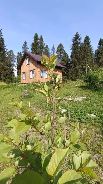 Дом в Карелия, Сортавальский муниципальный округ, пос. Туокслахти 35 ... - Фото 1