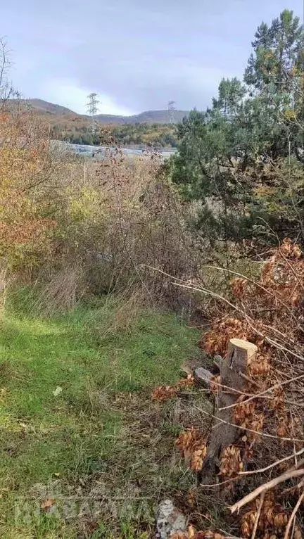 Участок в Краснодарский край, Новороссийск Можжевельник СНТ, 13 (7.2 ... - Фото 1