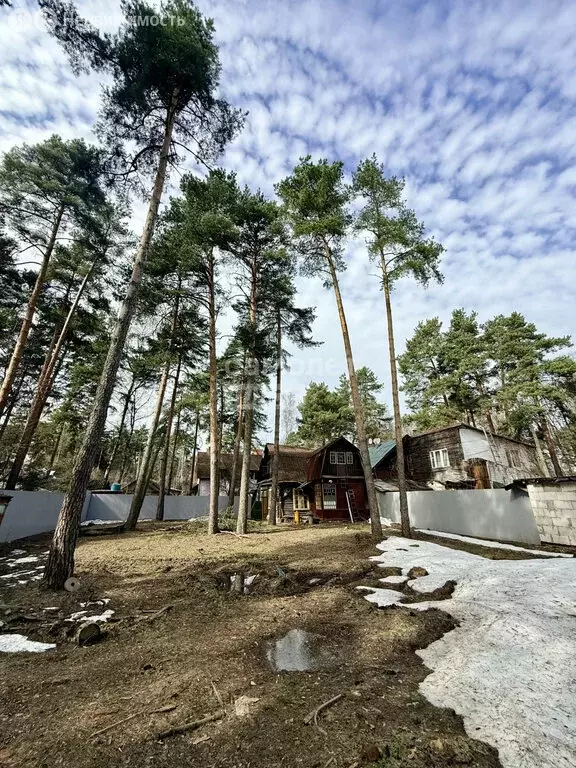 Дом в Королёв, улица Марины Цветаевой, 28 (40.5 м) - Фото 1