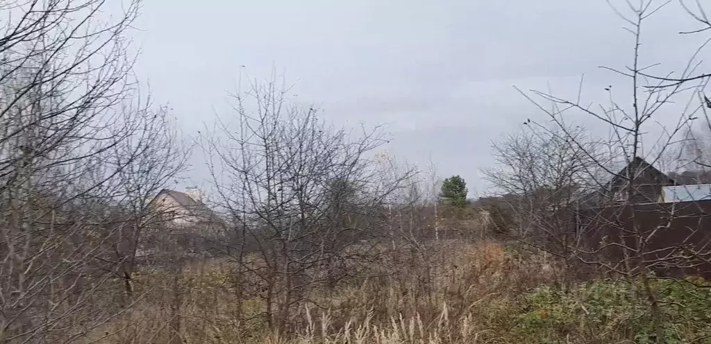 Участок в Московская область, Чехов муниципальный округ, д. Васькино  ... - Фото 1