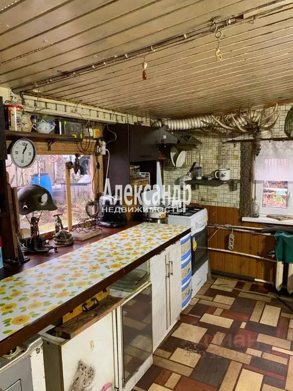 Участок в Санкт-Петербург, Санкт-Петербург, Сестрорецк Разлив СНТ, ... - Фото 2