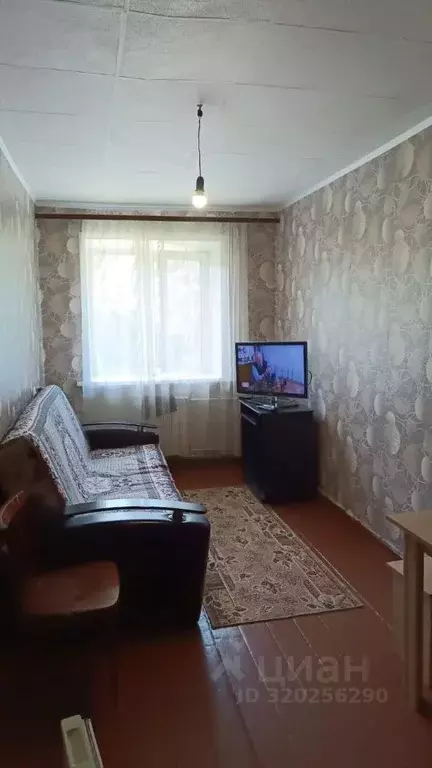 Комната Алтайский край, Барнаул Тимуровская ул., 19 (14.0 м) - Фото 0